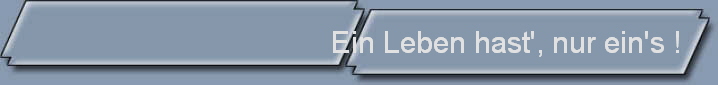 Ein Leben hast', nur ein's !