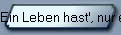 Ein Leben hast', nur ein's !